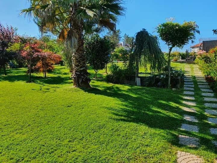 Villa Casa Brandao Póvoa de Varzim Extérieur photo